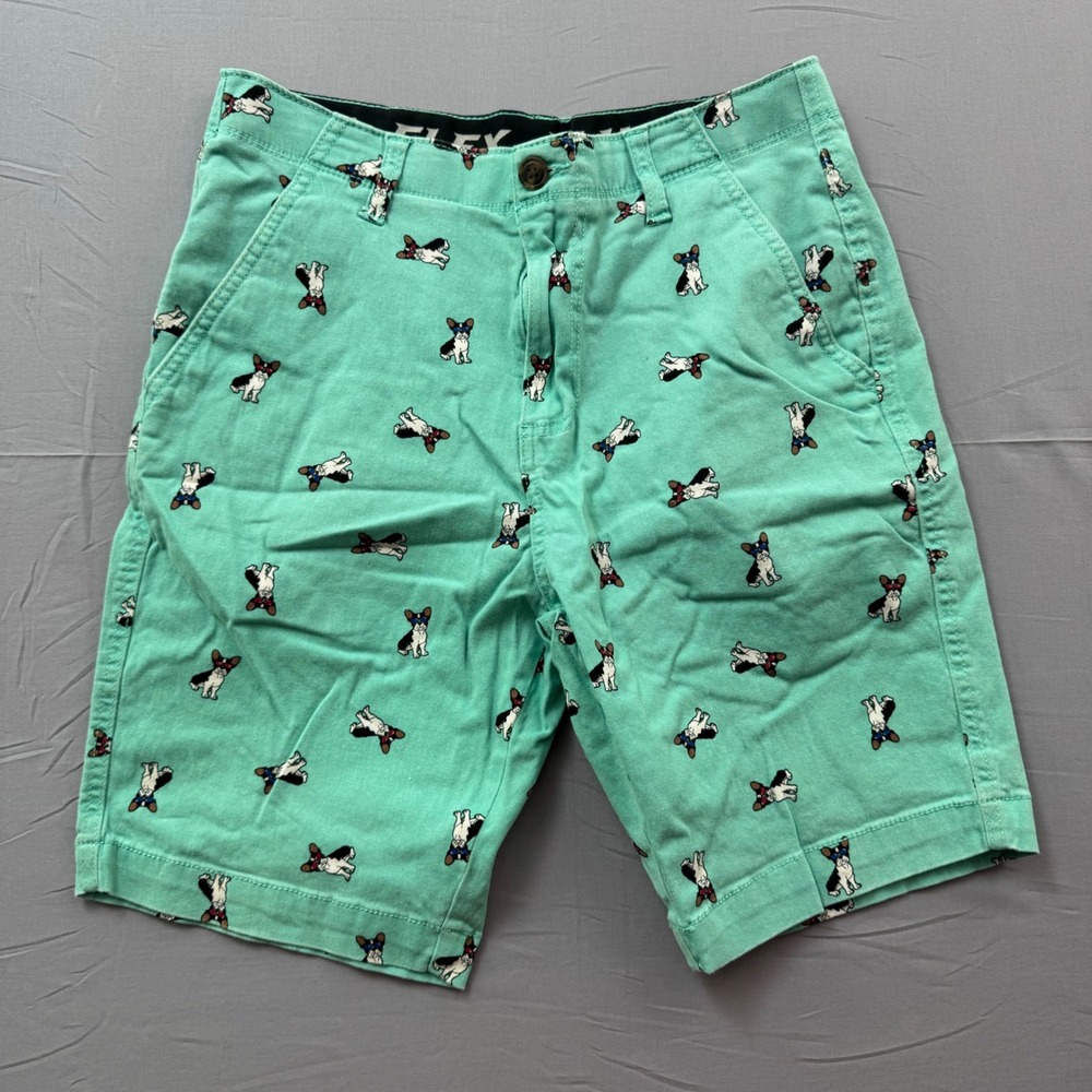 RUE21 Flex Plus Mens Mint Green French Bulldog Print Chino‎ Shorts Size 29